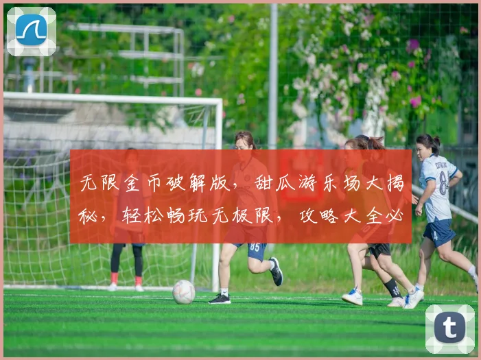无限金币破解版，甜瓜游乐场大揭秘，轻松畅玩无极限，攻略大全必备三款