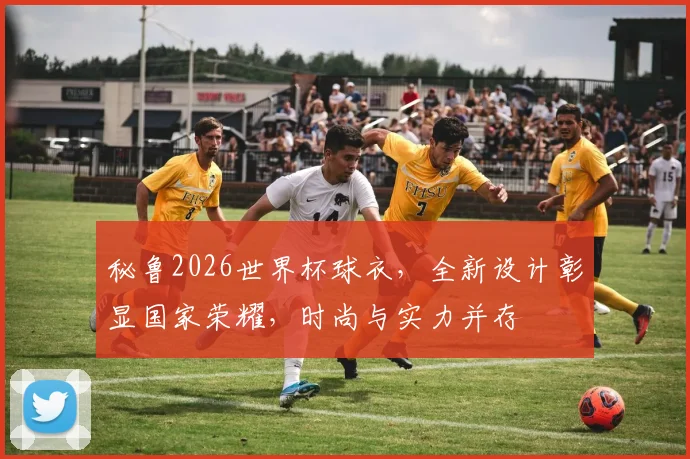 秘鲁2026世界杯球衣，全新设计彰显国家荣耀，时尚与实力并存