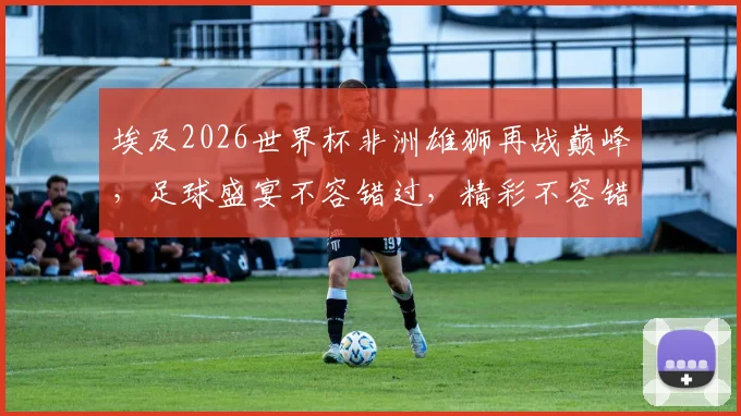 埃及2026世界杯非洲雄狮再战巅峰，足球盛宴不容错过，精彩不容错过