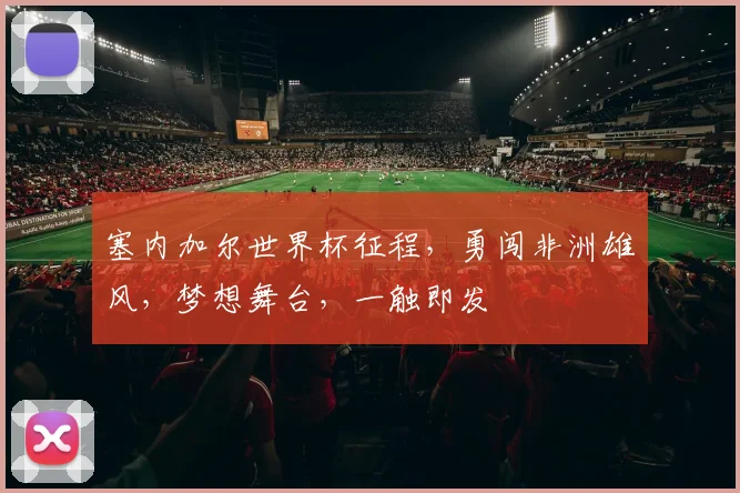 塞内加尔世界杯征程，勇闯非洲雄风，梦想舞台，一触即发