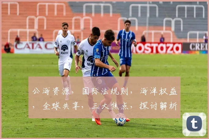 公海资源，国际法规则，海洋权益，全球共享，三大焦点，探讨解析