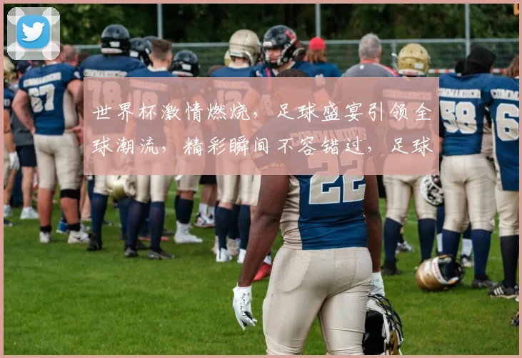 世界杯激情燃烧，足球盛宴引领全球潮流，精彩瞬间不容错过，足球文化传承发展。