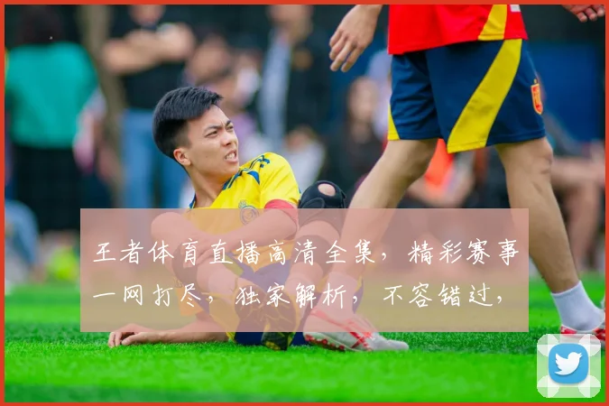王者体育直播高清全集，精彩赛事一网打尽，独家解析，不容错过，尽在指尖
