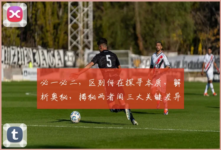 必一必二，区别何在探寻本质，解析奥秘，揭秘两者间三大关键差异，不容错过